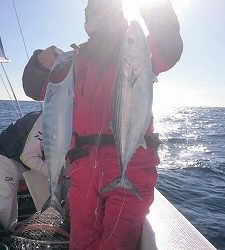 海龍丸（福岡） 釣果