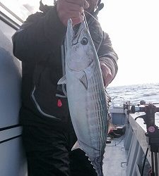 海龍丸（福岡） 釣果