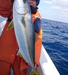 海龍丸（福岡） 釣果