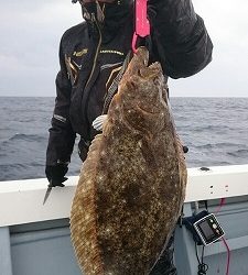 海龍丸（福岡） 釣果