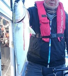 海龍丸（福岡） 釣果