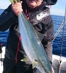 海龍丸（福岡） 釣果