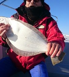 海龍丸（福岡） 釣果