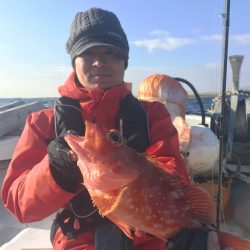 マタウマリンサービス 釣果