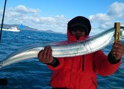 愛裕南丸 釣果