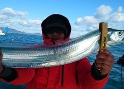 愛裕南丸 釣果