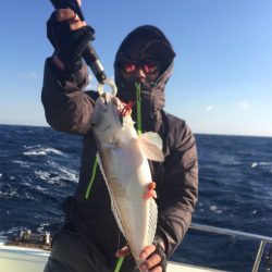 マタウマリンサービス 釣果