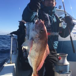 マタウマリンサービス 釣果