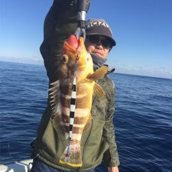 マタウマリンサービス 釣果