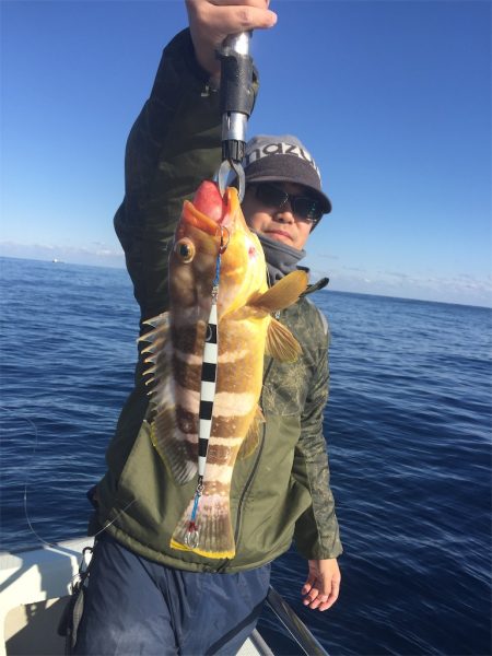 マタウマリンサービス 釣果