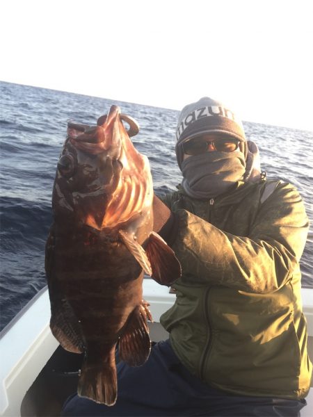 マタウマリンサービス 釣果