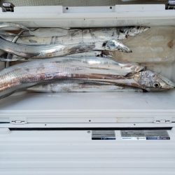 遊漁船　ニライカナイ 釣果