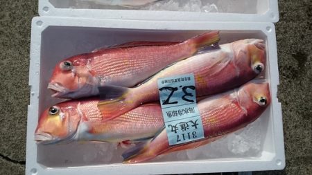 大進丸（新潟） 釣果