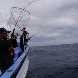 松鶴丸 釣果