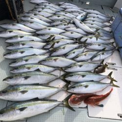 ふじしめ丸 釣果