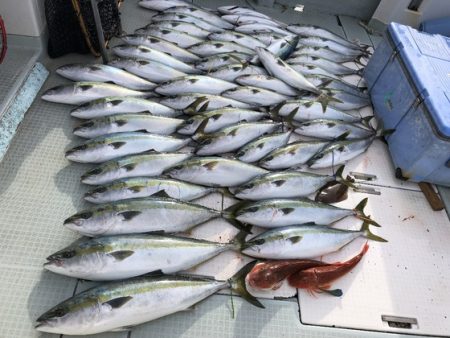 ふじしめ丸 釣果