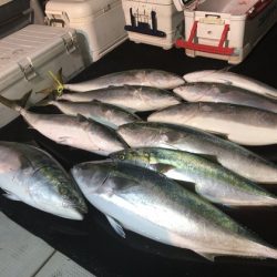 幸風（さちかぜ） 釣果