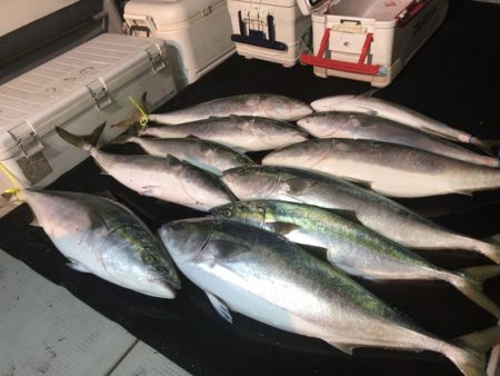 幸風（さちかぜ） 釣果