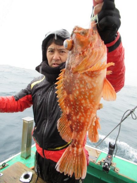 真祐丸 （しんゆうまる） 釣果