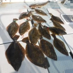 遊漁船 幸友丸 釣果