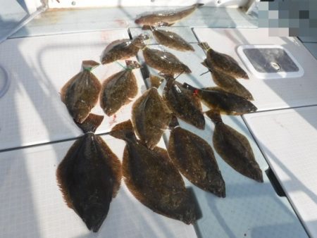 遊漁船 幸友丸 釣果