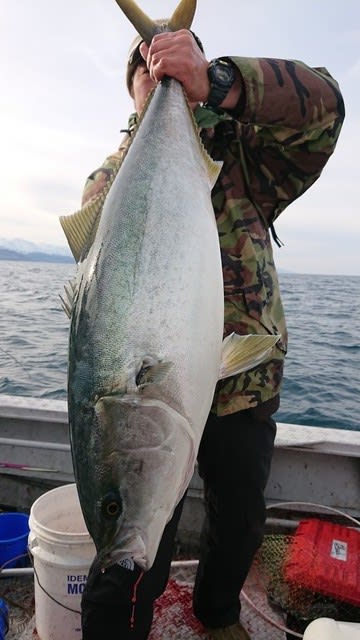 浅間丸 釣果