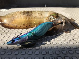 白墨丸 釣果