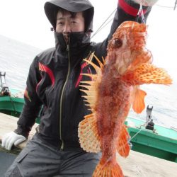 真祐丸 (しんゆうまる) 釣果