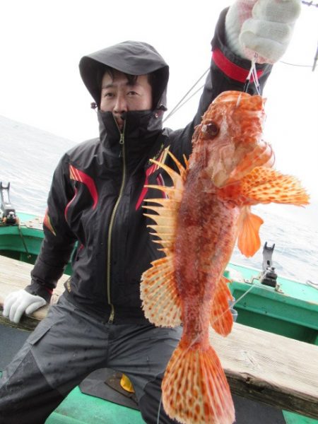 真祐丸 (しんゆうまる) 釣果