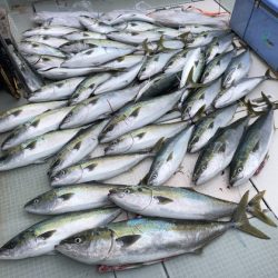 ふじしめ丸 釣果