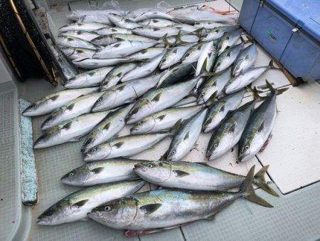 ふじしめ丸 釣果