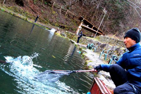 小菅トラウトガーデン 釣果