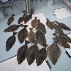 遊漁船 幸友丸 釣果