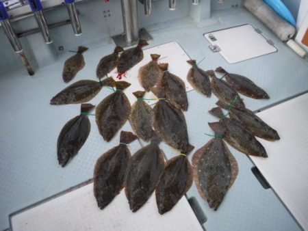 遊漁船 幸友丸 釣果