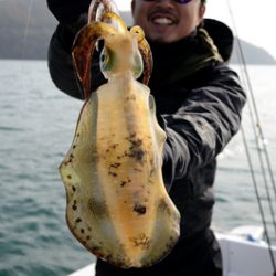 Marine T Design マリンティーデザイン 釣果