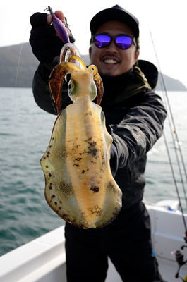 Marine T Design　マリンティ…