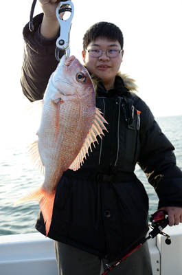 Marine T Design マリンティーデザイン 釣果