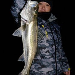 Marine T Design マリンティーデザイン 釣果