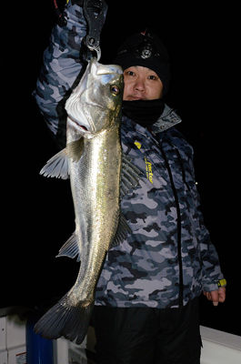 Marine T Design マリンティーデザイン 釣果