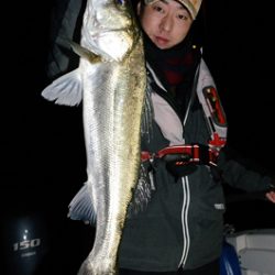 Marine T Design マリンティーデザイン 釣果