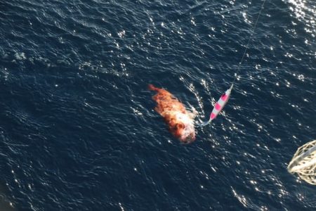 へいみつ丸 釣果