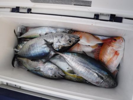 BlueNote Fishing Taxi 釣果