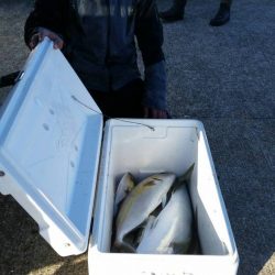 第五慶門丸 釣果