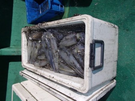 第二むつ漁丸 釣果