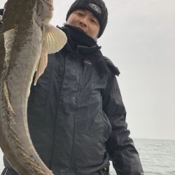 Magic(マジック) 釣果