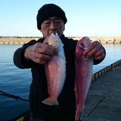 大進丸(新潟) 釣果