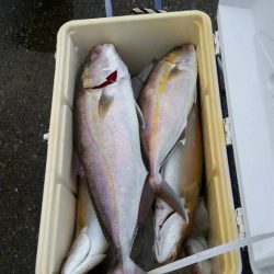 第五慶門丸 釣果