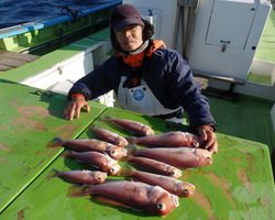 久里浜黒川本家 釣果