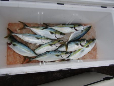 ジギング船 BLUEWATER 釣果