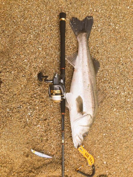 自己新記録更新！